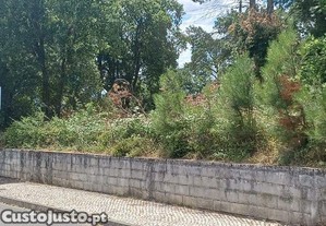 imagem_12