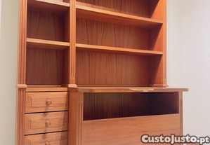 imagem_5