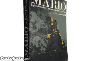 imagem_1