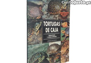 imagem_1