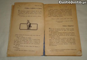 imagem_8