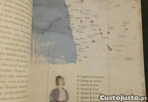imagem_4