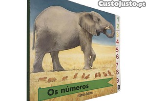 imagem_1