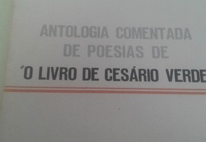Antologia Comentada de Poesias de " O Livro de Cesário Verde"