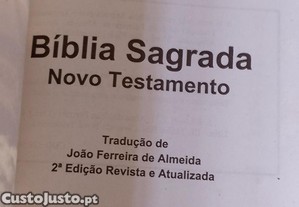 imagem_8