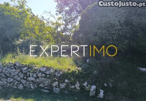 imagem_14