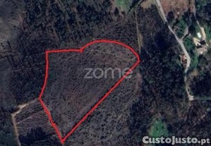 Terreno Florestal Sito Em Guimarei!