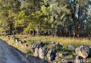 Terreno Rústico Plano Com 38.100M² Em Vila De...