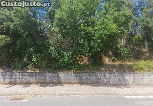 imagem_15