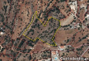 Terreno Agrícola em Conceição e Estoi