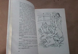 imagem_5