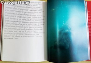imagem_20