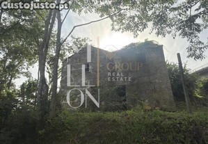 imagem_8