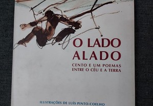 Eduardo Pinto Basto-O Lado Alado-1996 Assinado
