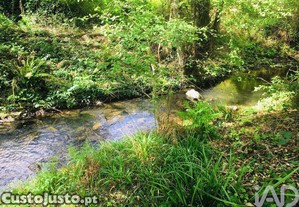 imagem_22