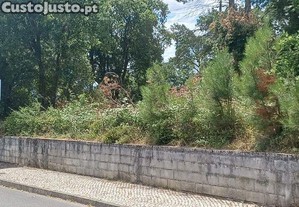 imagem_12