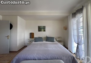imagem_31