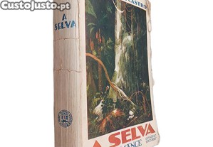 imagem_1