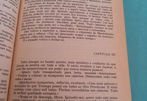 imagem_3