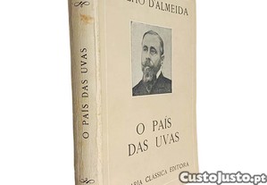 imagem_1
