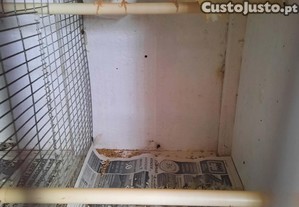 imagem_3