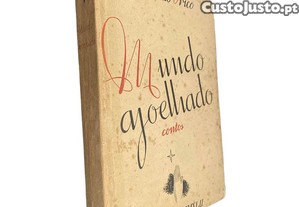 imagem_1