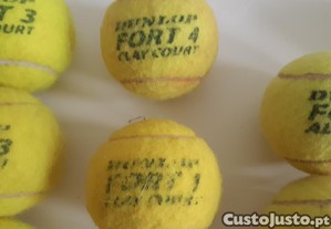 imagem_6