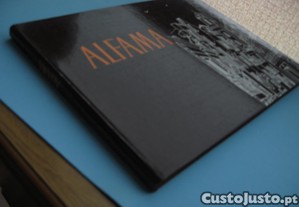imagem_7