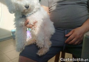 imagem_3