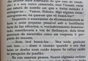 imagem_7