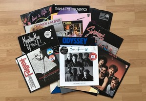 Discos vinil anos 80 e 90