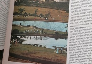 imagem_3