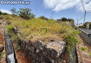 imagem_11