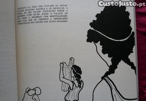 imagem_5