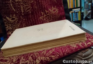 imagem_6