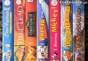 imagem_8