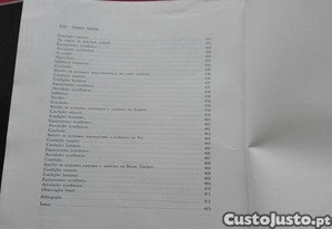 imagem_16