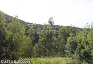 Terreno Rústico Com 5.400 M² - Pontalinhos,...