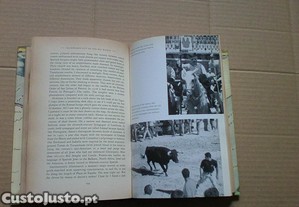 imagem_6