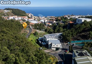 imagem_7