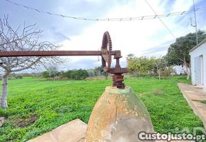 imagem_19