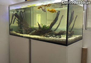 Aquário 330L completo com movel