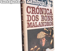 imagem_1