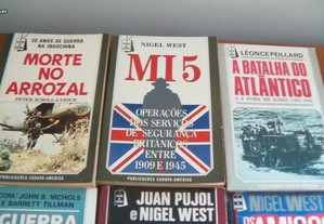 imagem_2