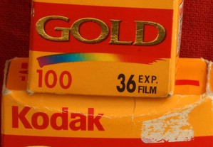 kodak Gold 100 36 exp 24x36