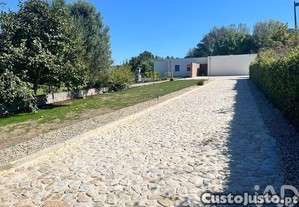 imagem_22