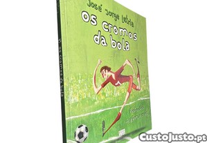 imagem_1