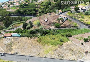 imagem_7