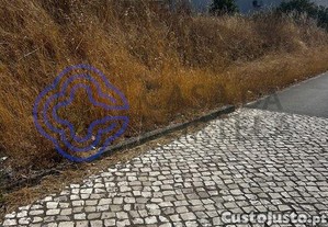 imagem_21