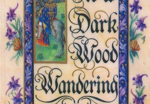 In a Dark Wood Wandering de Hella S. Haasse